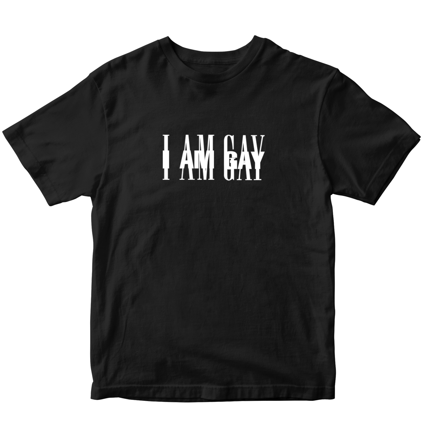 IM GAY T-SHIRT