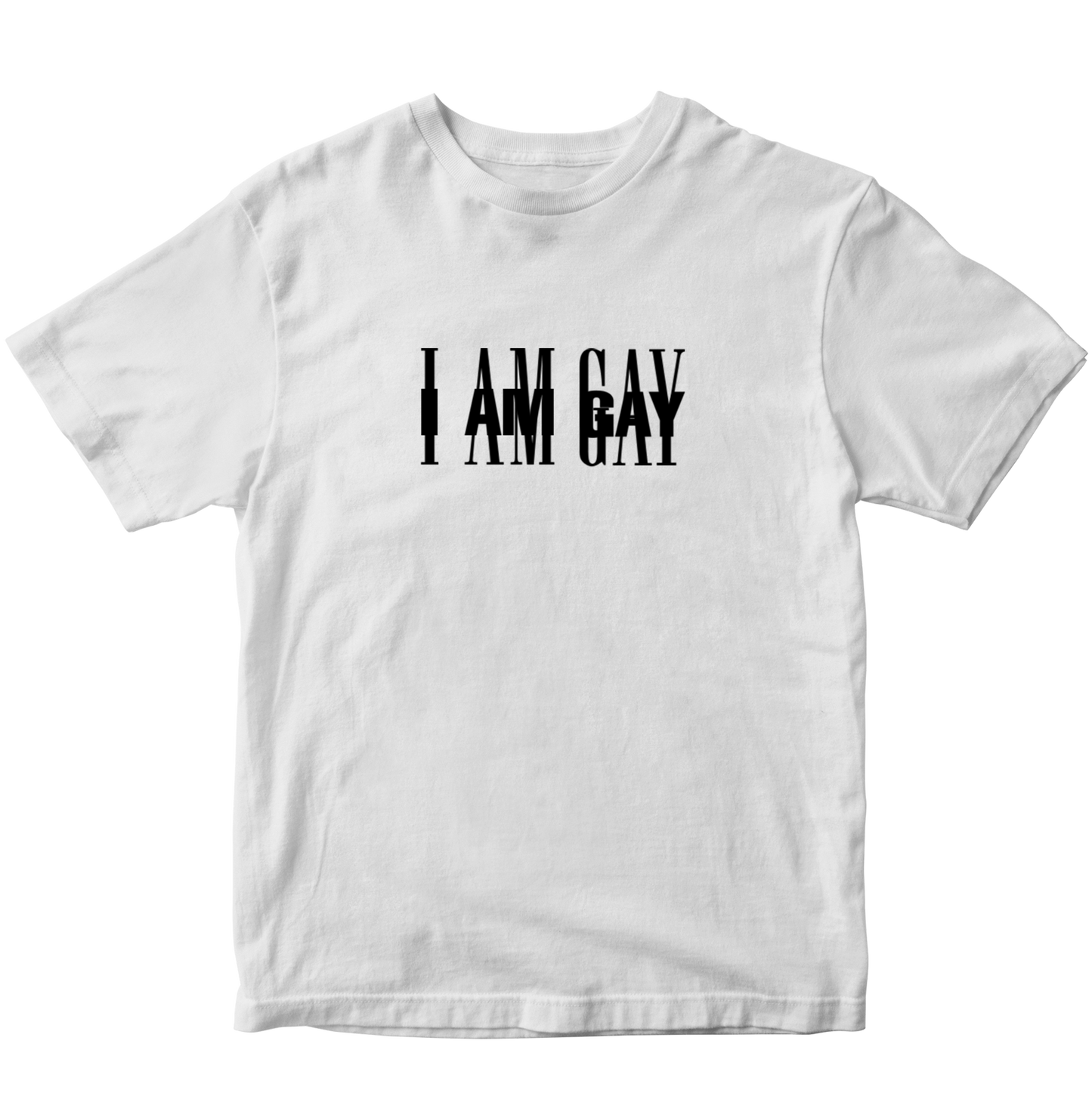 IM GAY T-SHIRT